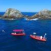 Byron Bay Dive Centre
