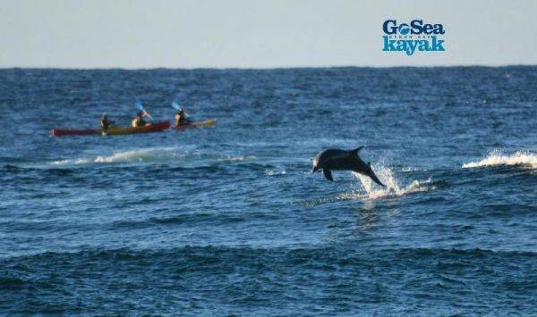 Go Sea Kayak in Byron Bay