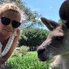 Kangaroo and Maya in Currumbin Wildlife park
