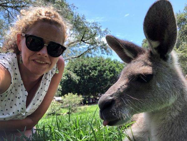 Kangaroo and Maya in Currumbin Wildlife park