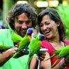 Parrots feeding at Currumbin Wildlife Park