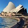 Het Opera House ind Sydney