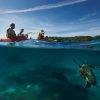 Turtle_Go Sea Kayak_Byron Bay