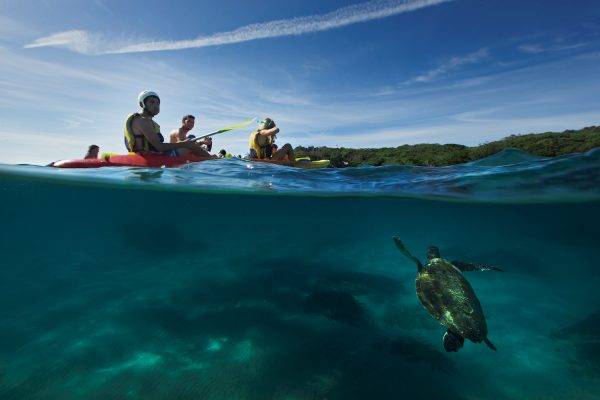 Turtle_Go Sea Kayak_Byron Bay