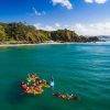 Go Sea Kayak with Dolphins