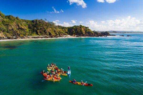 Go Sea Kayak with Dolphins