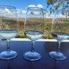 Wine tasting at Ridgeview_Hunter Valley