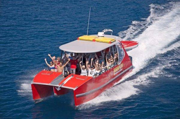 Thundercat in the Whitsundays