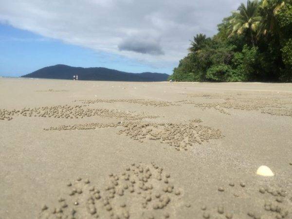Cape Tribulation Beach_Daintree National Park