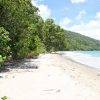 Cape Tribulation_Daintree National Park_Port Douglas_Cairns