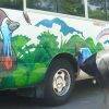 Cassowary at Uncle Brians bus
