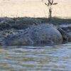 Crocodile_Maryriver Cruise_Kakadu