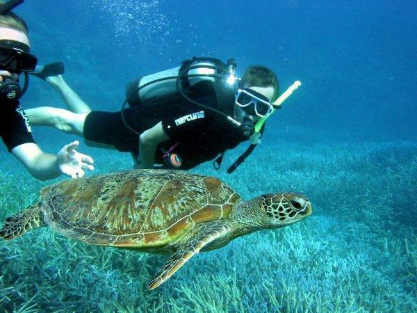 Diving with Kiana on the Outer Reef in the Whitsundays