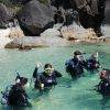 New Horizon diving in the Whitsundays