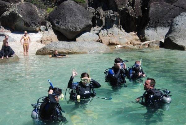 New Horizon diving in the Whitsundays