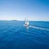 Ocean Free sailing to Green Island