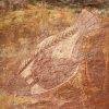 Rock art- Aborginal- Australia- Darwin