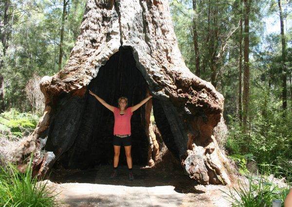 Valley of the Trees_Nullarbor Travel