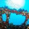 YongalaDive_ShipwreckDive_GreatBarrierReef5