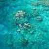 reefquest-great-barrier-reef-snorkel-trip-guide
