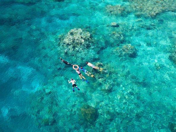 reefquest-great-barrier-reef-snorkel-trip-guide