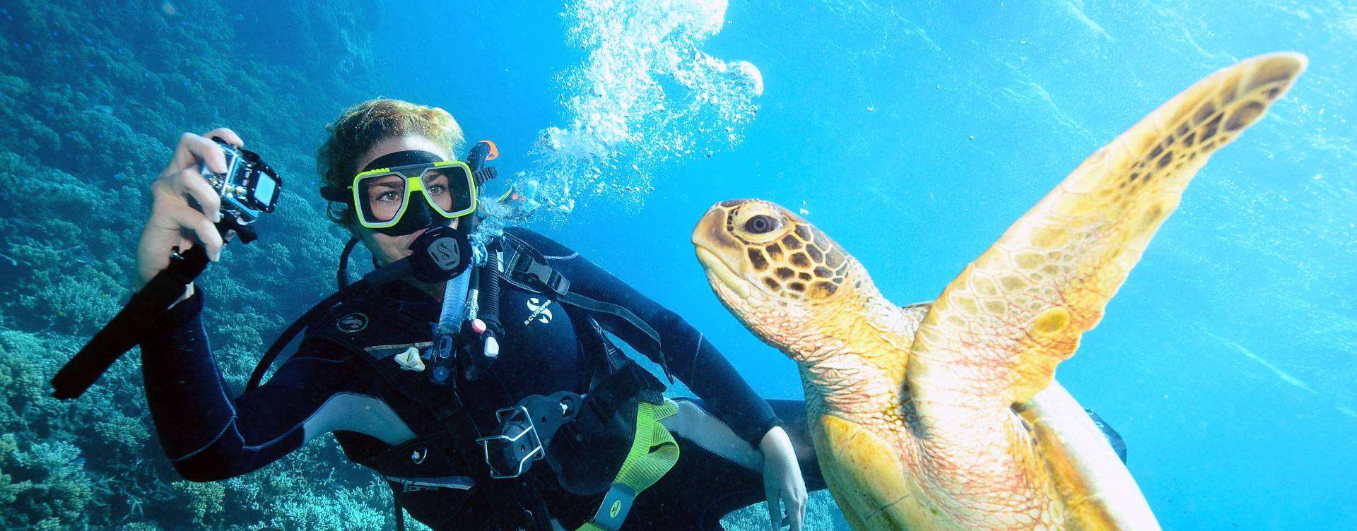 Travel agent, Maya, scuba diving with reef turtle