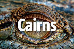 cairns Cairns title in front of image of crocodile eye closeup