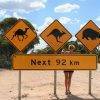 Maya_Nullarbor_travel_Australia